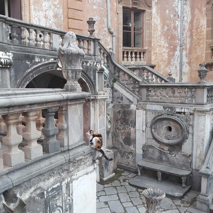 Bagheria: tour of Villa Palagonia and Street Food itinerary | GetYourGuide, image size:900x900