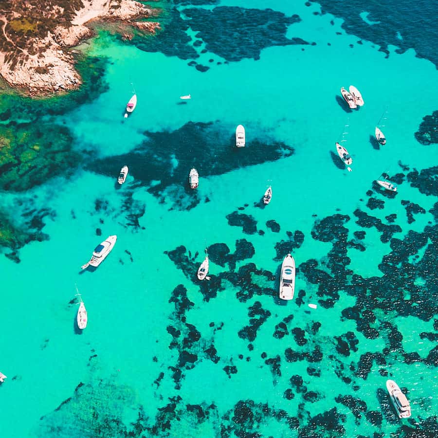 从帕劳出发：拉马达莱娜群岛乘船游览（含意大利面） | GetYourGuide