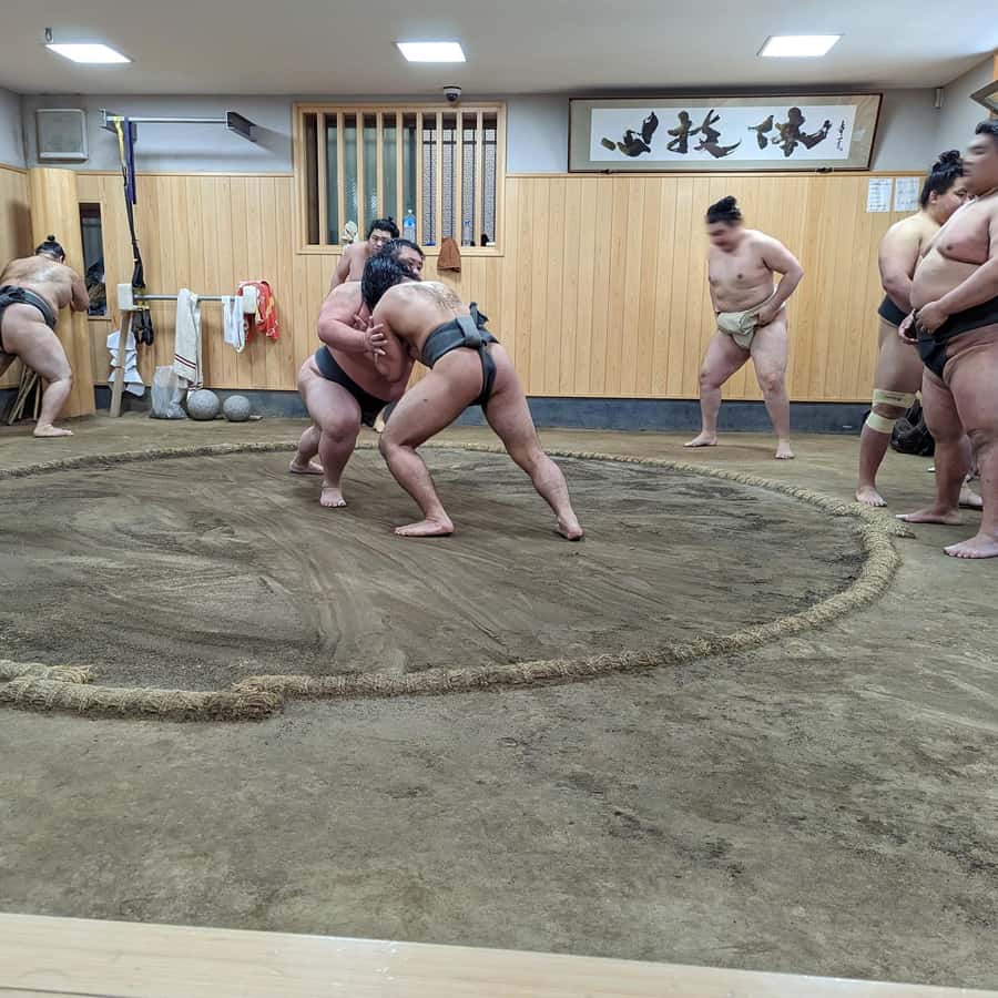 Tokyo: Morning Sumo Practice Viewing | GetYourGuide