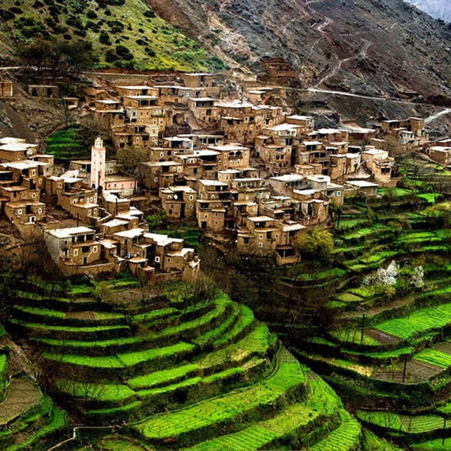 Explore Berber Culture – ImlilL Valley | GetYourGuide
