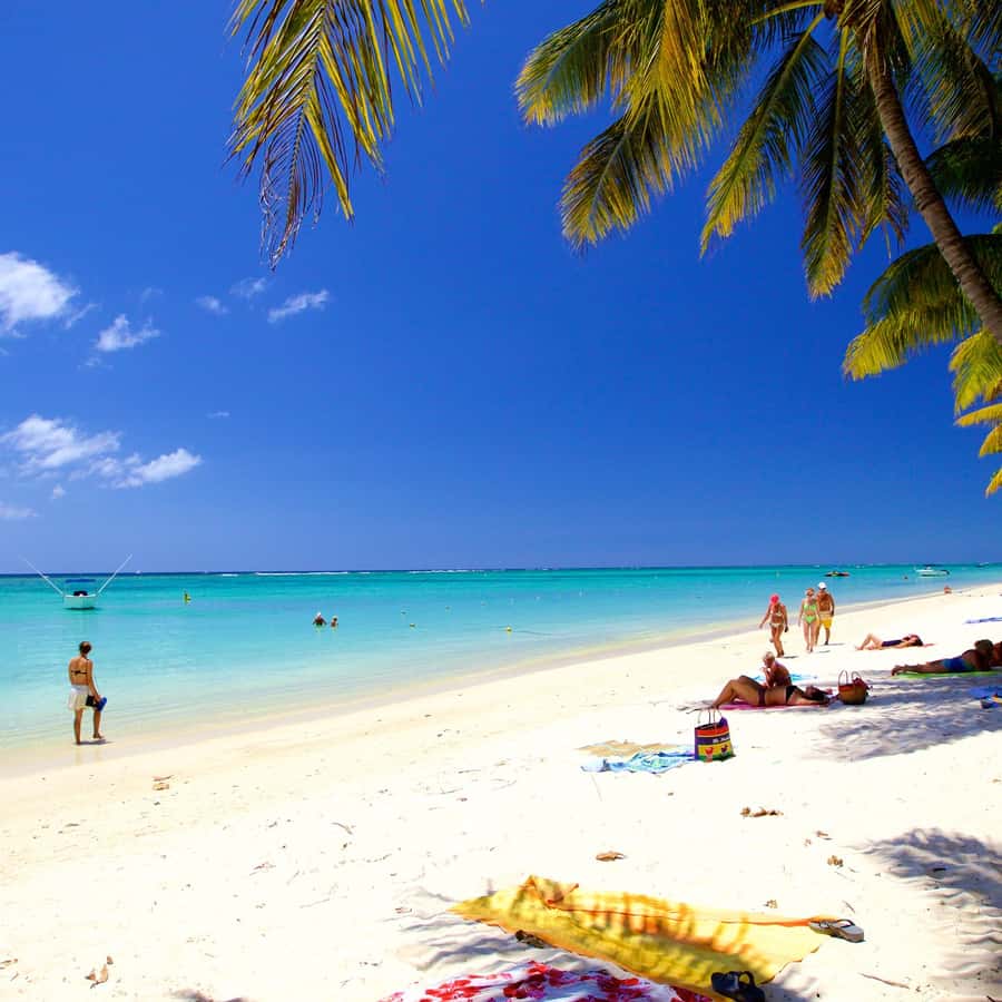 그랜드 베이: 북섬으로 떠나는 전일 카타마란 크루즈 | GetYourGuide