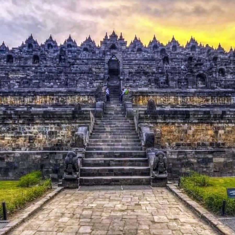 ボロブドゥールツアー：寺院の頂上まで登れることを保証します