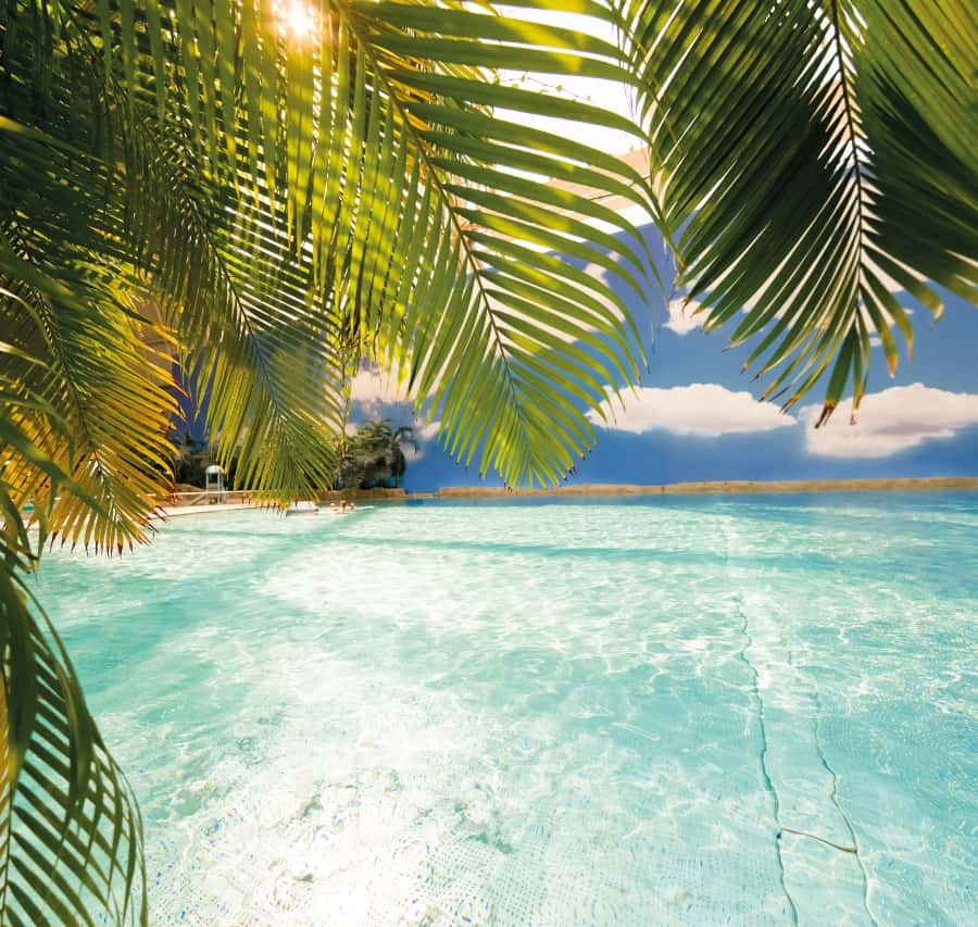 ブランデンブルク：トロピカル アイランド リゾート 1 日券 | GetYourGuide