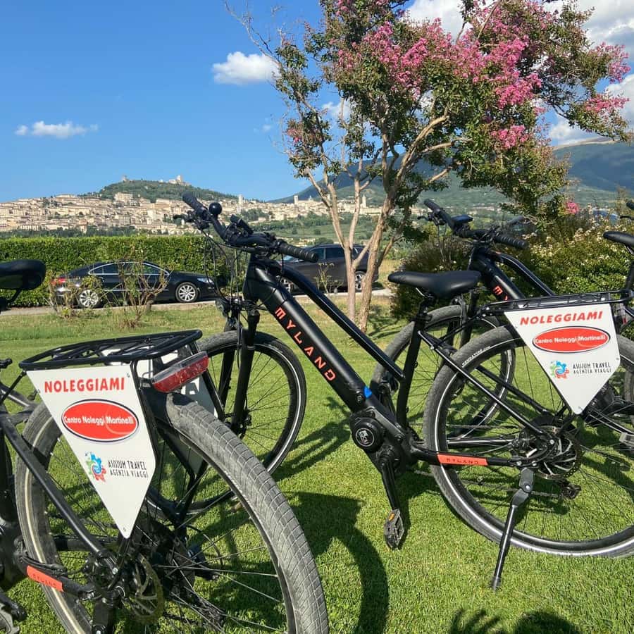 E-bike Citybike Rental - full day + Opzione pranzo con guida | GetYourGuide, image size:900x900