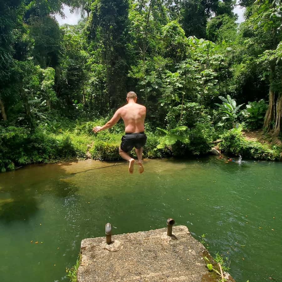 从圣胡安出发：埃尔云克雨林和卢基略海滩之旅| GetYourGuide, image size:900x900