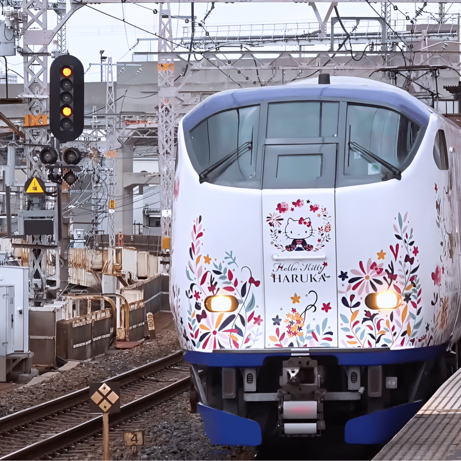 Kansai-Airport Express HARUKA One-way Ticket | GetYourGuide