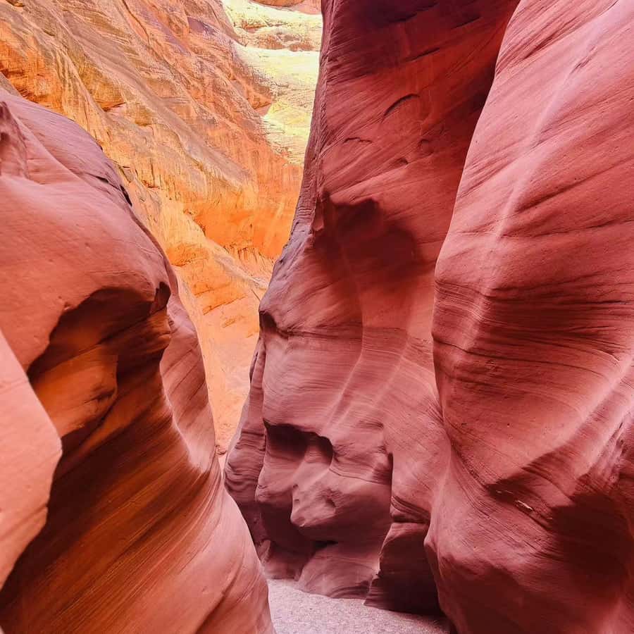 Page: Lake Powell Kayak \u0026 Water Antelope Canyon Hiking Tour | GetYourGuide, image size:900x900