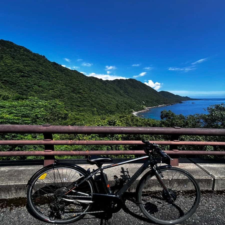 Yakushima: E-Bike Rental Plan (Pick-Up & Drop-Off Included
