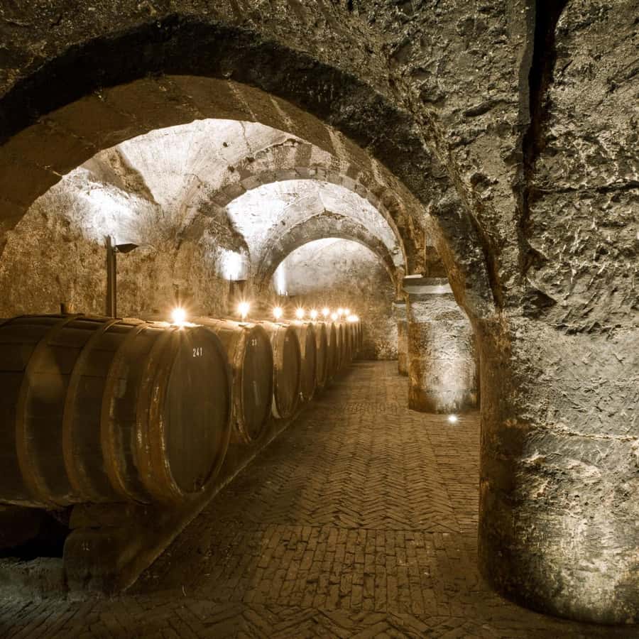 トリーア：ドイツ最古のワインセラーを探索するガイドツアー