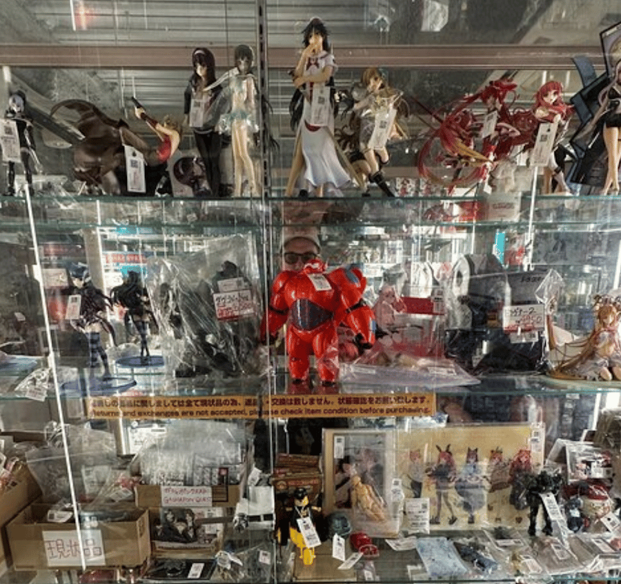 Private Akihabara Anime Game Maid Cafe Tour w/ free pickup