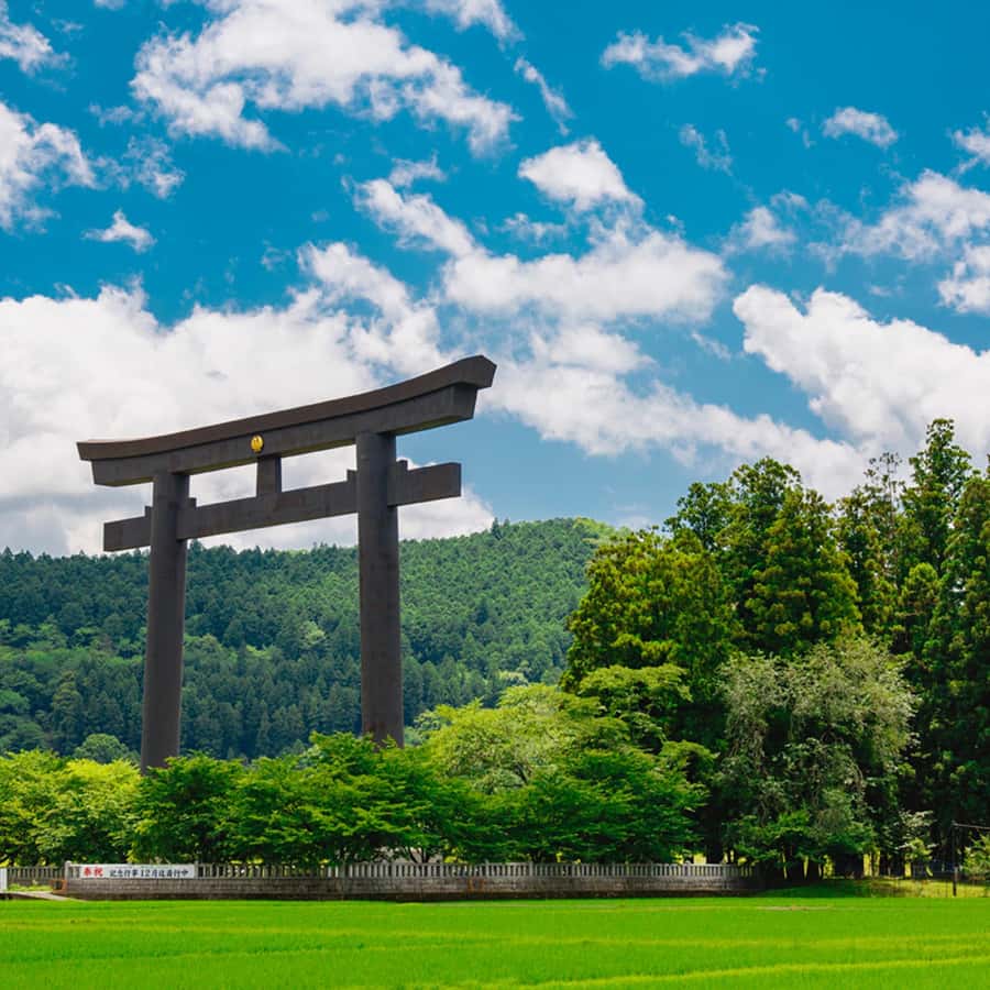 kumao Inbrixx Kumamon Mascot Series | 880009-18 – BrickMeUpScottie