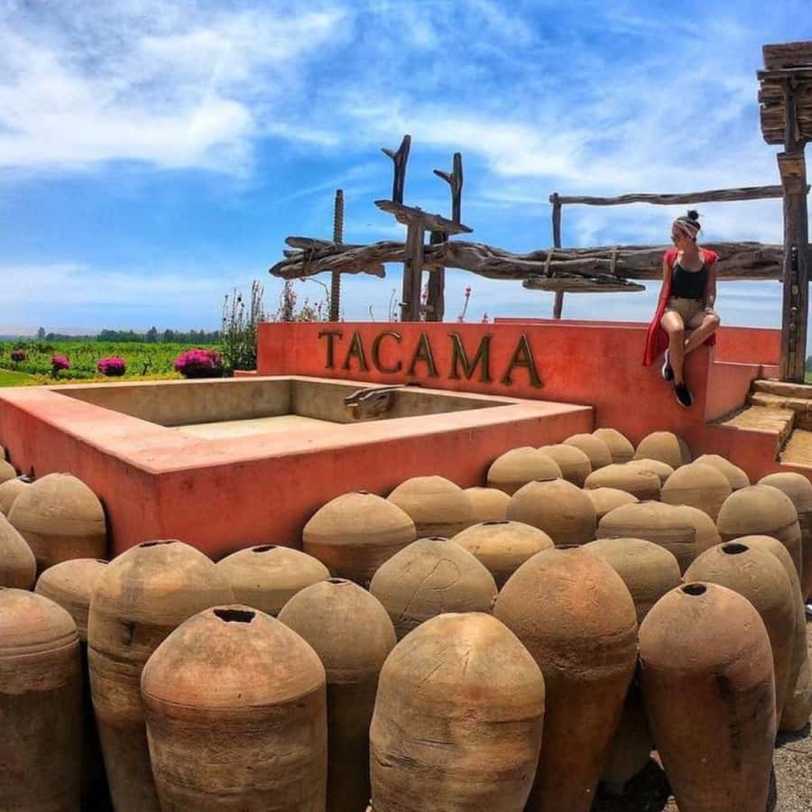 Ica: Pisco Tour | Tacama, Arrabal, Bodega Lovera | | GetYourGuide, image size:900x900