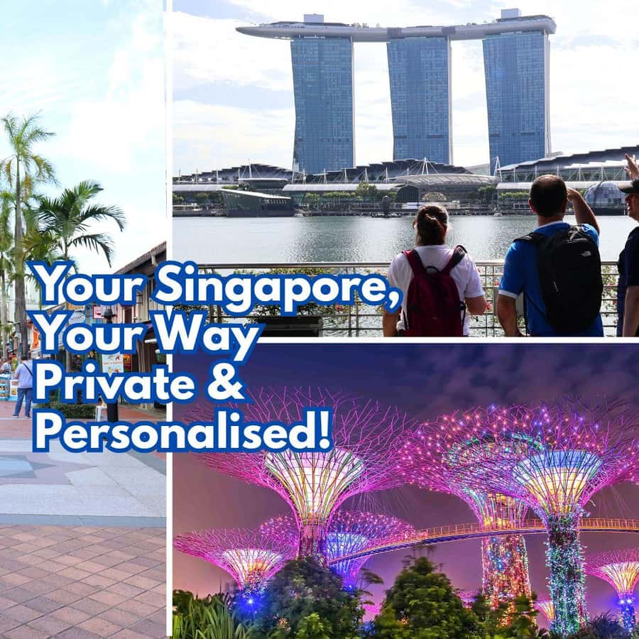 新加坡：新加坡精选私人定制徒步导览| GetYourGuide