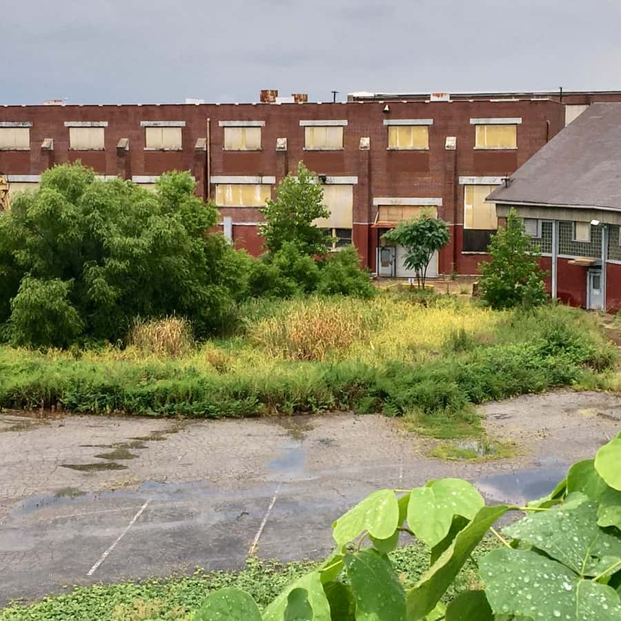 亚特兰大：《行尸走肉》 VIP 私人之旅| GetYourGuide, image size:900x900