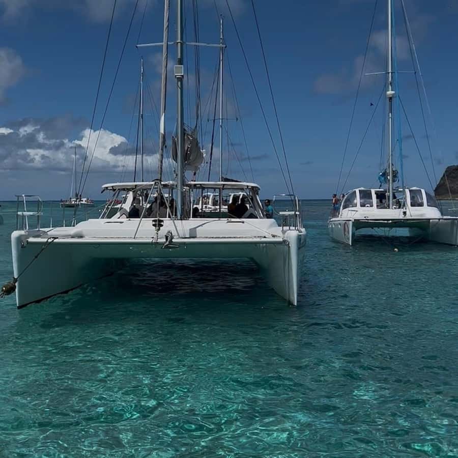 그랜드 베이: 북섬 쌍동선 크루즈와 바비큐 파티 | GetYourGuide