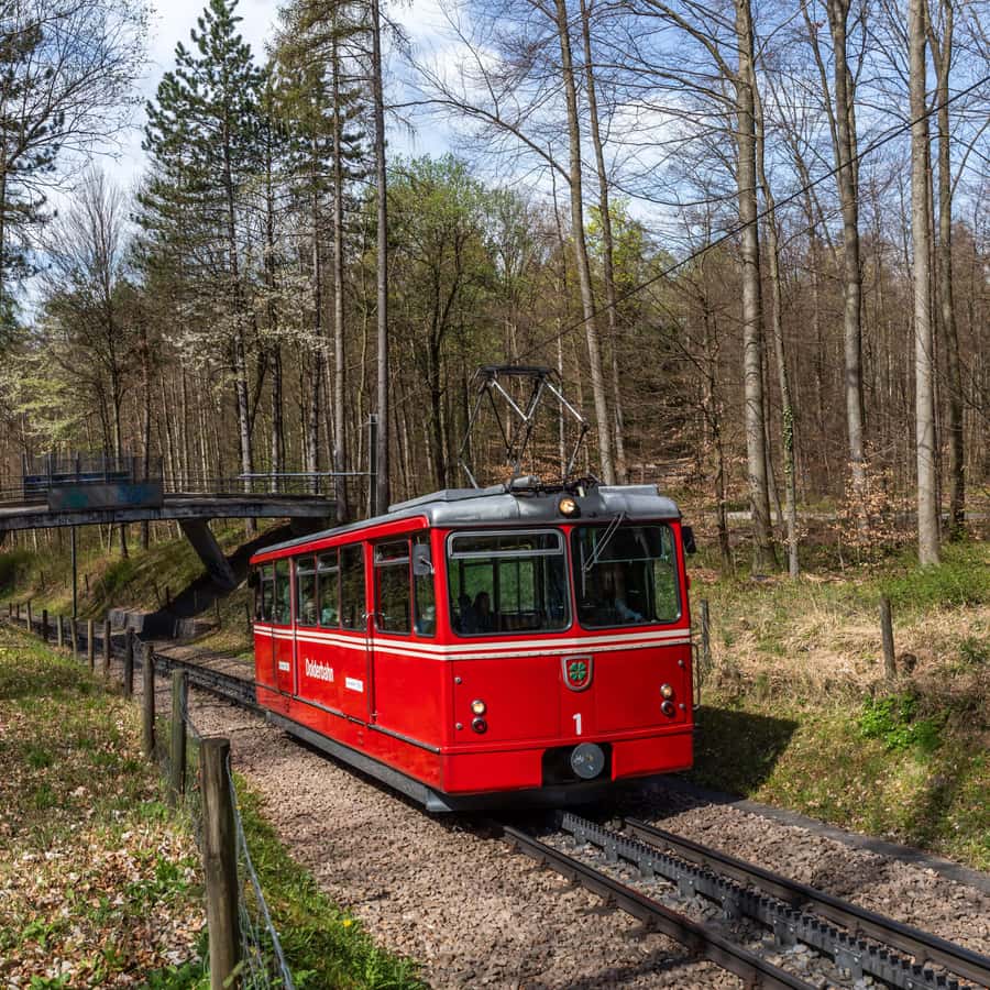 チューリッヒの移動サービスアドベンチャー：歯車、ケーブルカー、ボートツアーをご案内いたします | GetYourGuide