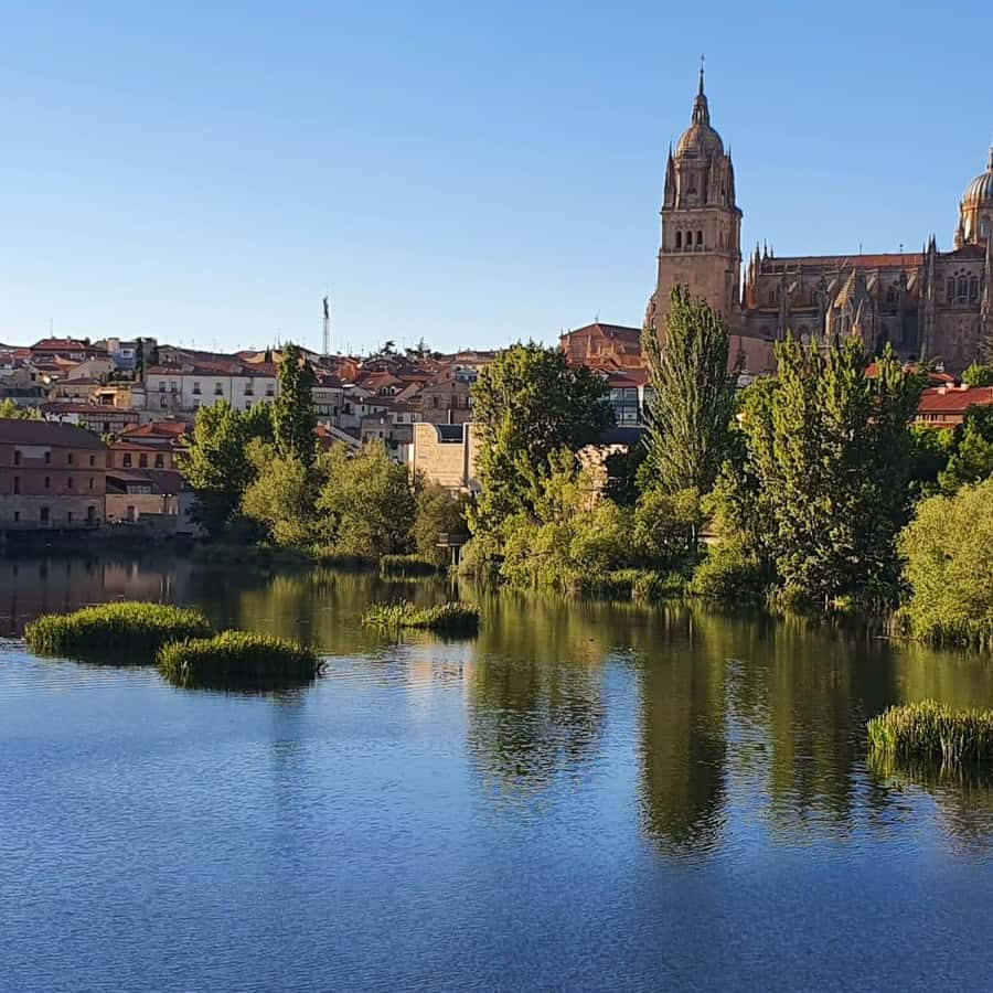 LES 15 MEILLEURES Choses à Faire Espagne - Viator, image size:900x900