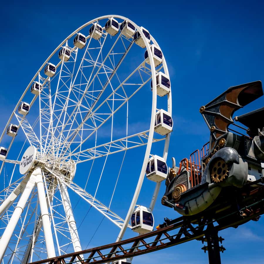 チケット テーマパーク/遊園地 79fe8422c1a03cb2ba63cea8265373