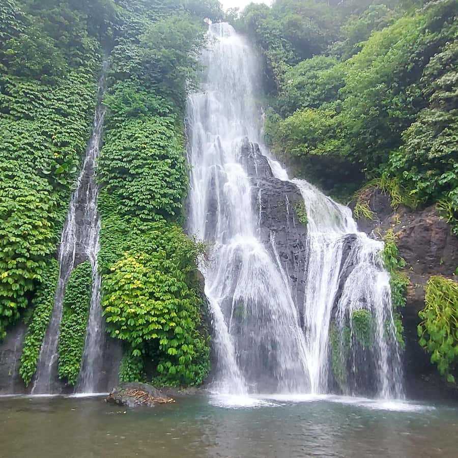 Munduk : Randonnée à la cascade de Banyumala, baignade et déjeuner |  GetYourGuide, image size:900x900