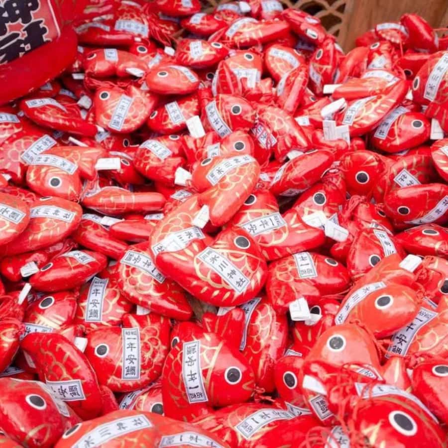 关东10小时包车一日游｜川越| GetYourGuide