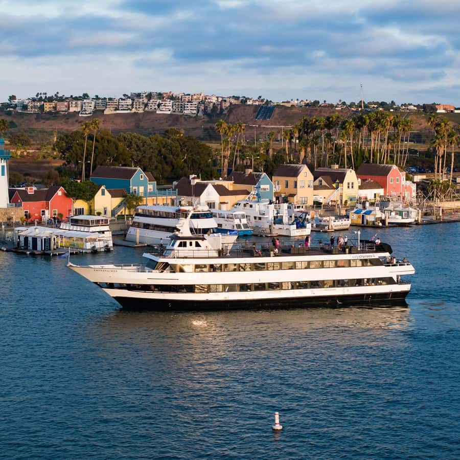 Marina del Rey: City Cruises -shamppanjabrunssiristeily | GetYourGuide