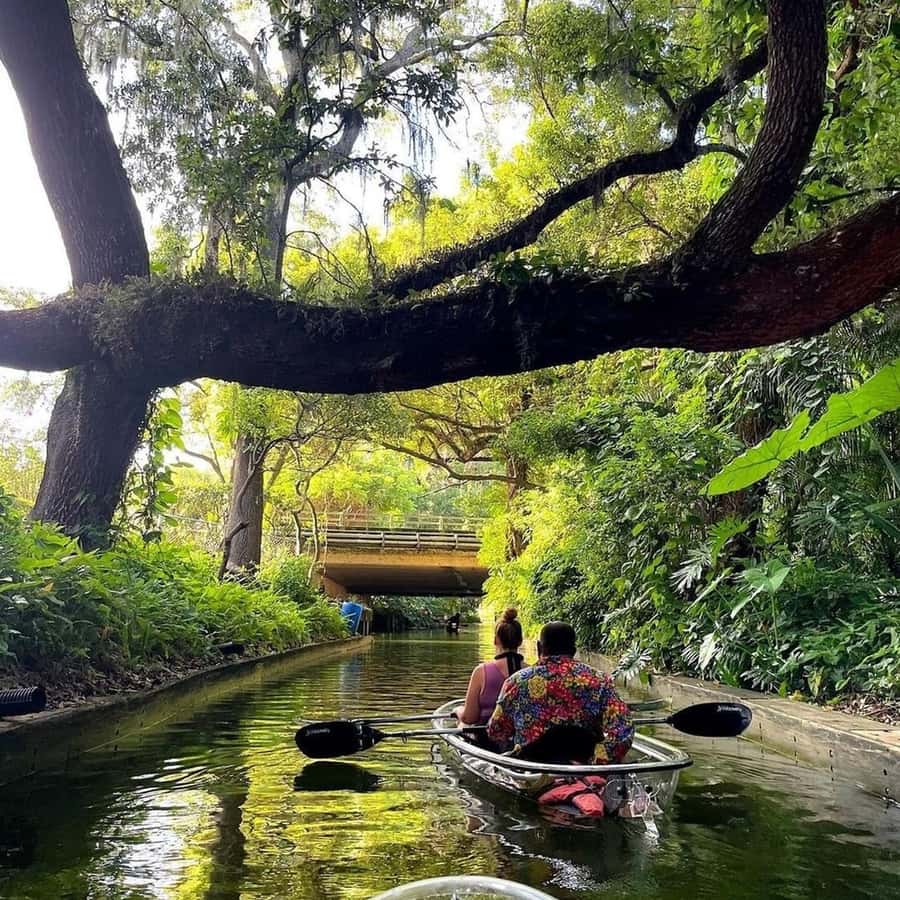 Winter Park: tour en kayak transparente por la cadena de lagos |  GetYourGuide, image size:900x900