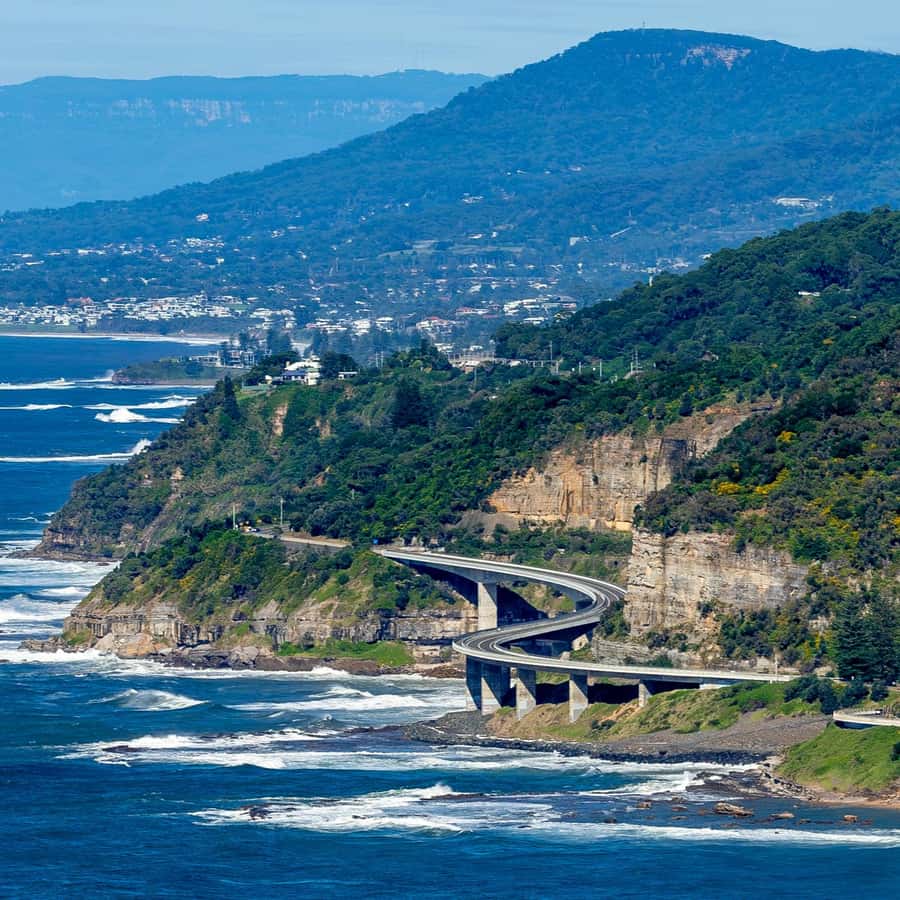 不要吃太胖哦，会被吃掉的:: Behance, image size:900x900