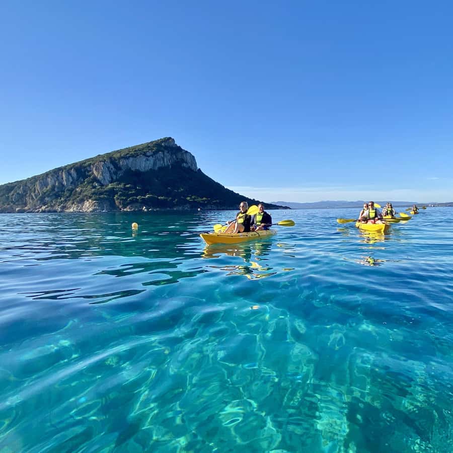 阿兰奇高尔夫：小队皮划艇游览与开胃酒和海豚| GetYourGuide, image size:900x900