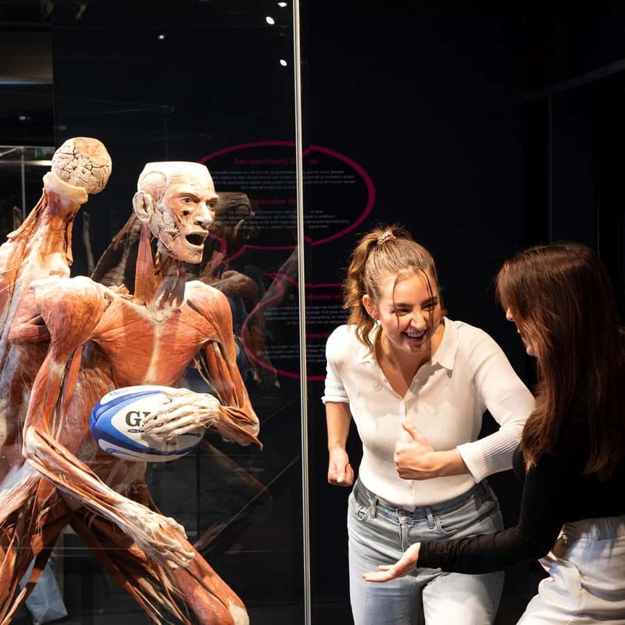 阿姆斯特丹人体世界：幸福计划门票| GetYourGuide, image size:900x900