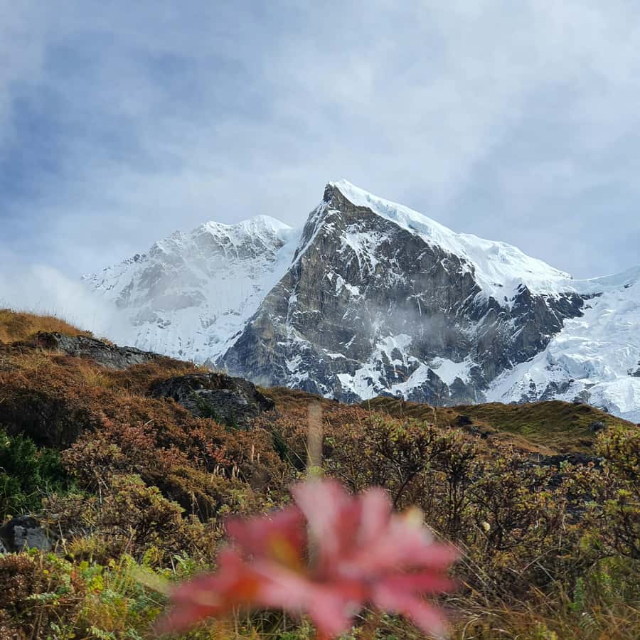 巴格多格拉出发：11日宗里徒步之旅（含餐饮住宿） | GetYourGuide