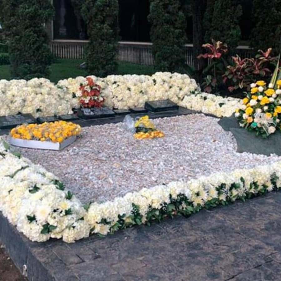 Medellin: Private Pablo Escobar History Tour | GetYourGuide, image size:900x900