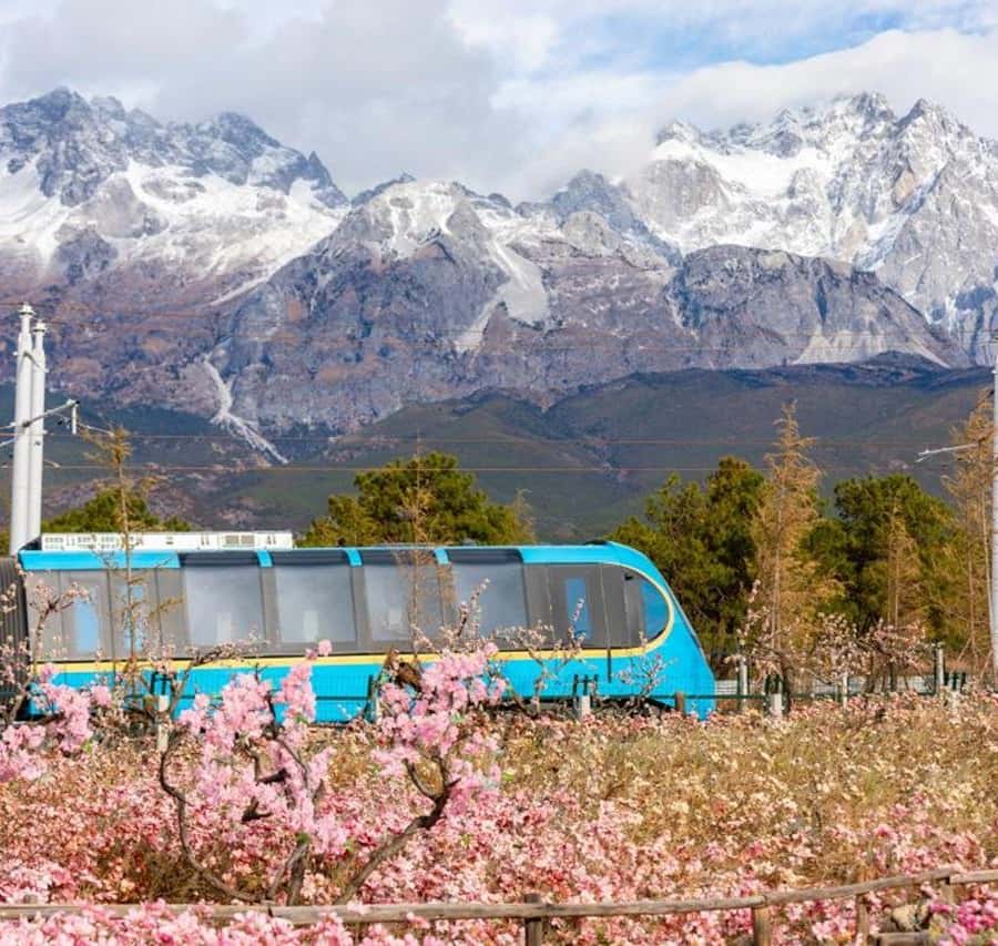 Jade Dragon Snow Mountain, Dongba Valley, Impression Lijiang