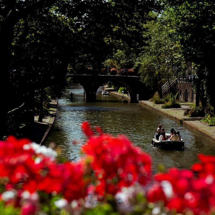 ユトレヒト探索：少人数制＆追加オプションあり | GetYourGuide