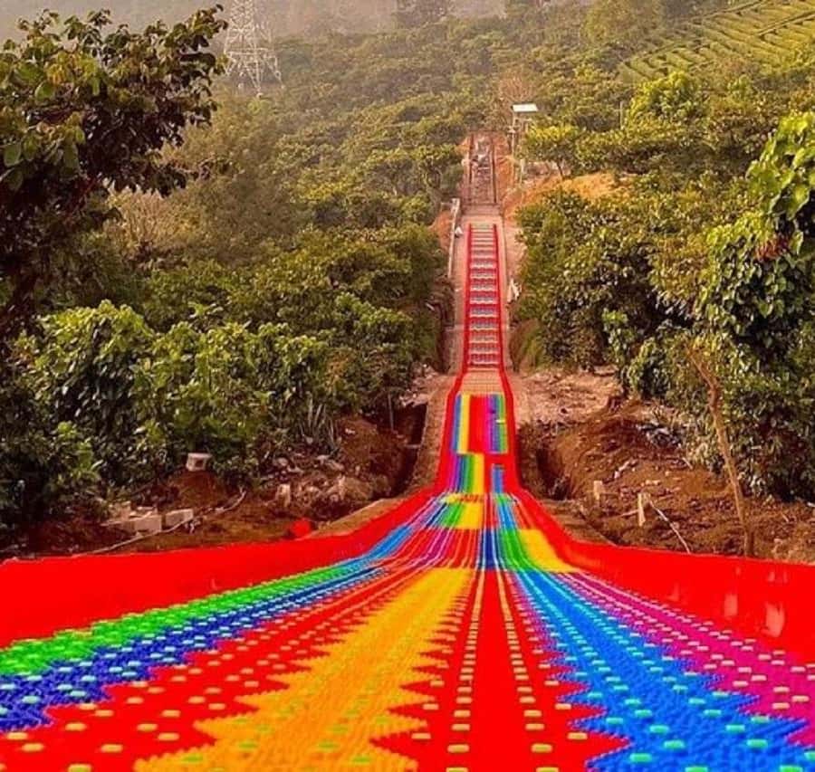 サザンアイランド レインボーアイランド&トロピカルアイランド セット 97f6b2cf794e2692f8e9f0a9b0a7d9