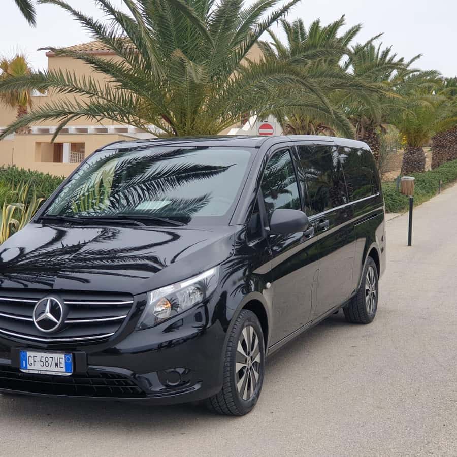 Traslados Privados: Ciudad de Trapani - Aeropuerto de Palermo | GetYourGuide, image size:900x900