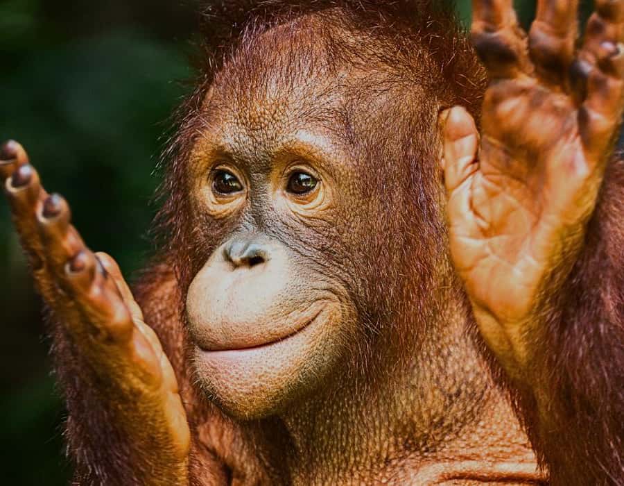 9a7aa7a13aee16be53fdea6550e82f