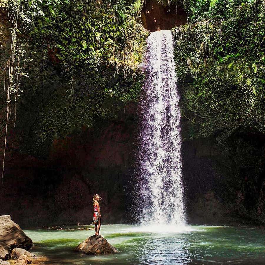 Ubud: Spectaculaire Watervallen Tour | GetYourGuide
