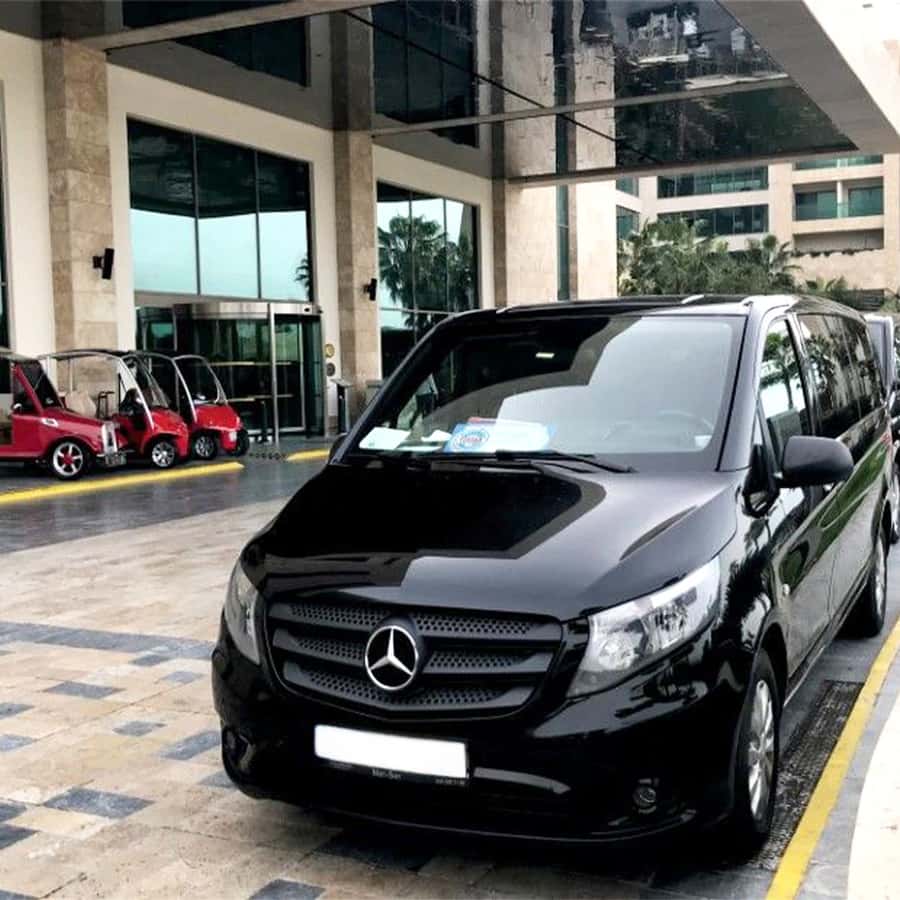 Chauffeur professionnel