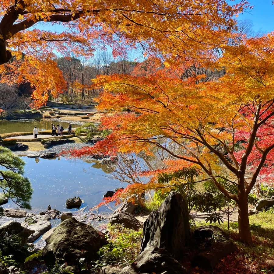 皇居東御苑を英語で説明 Self-Guidebook 英語 皇居 ガイドブック 皇居