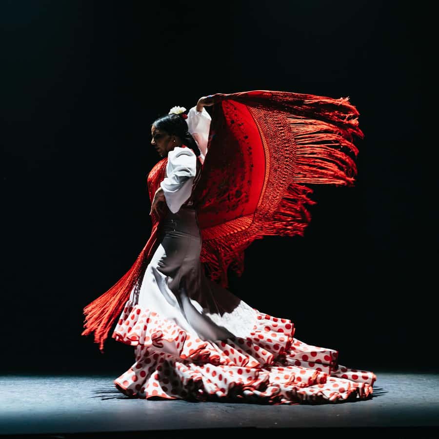 送料込　新品未使用　フラメンコ衣装　セビリア発 item_20240316_183218_507_L.jpg