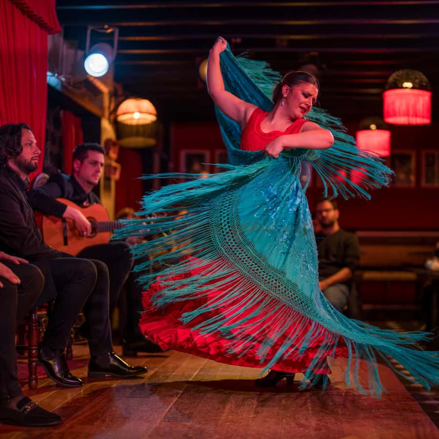 グラナダ：アルバイシンでのフラメンコショー - ジャーディンズ・デ