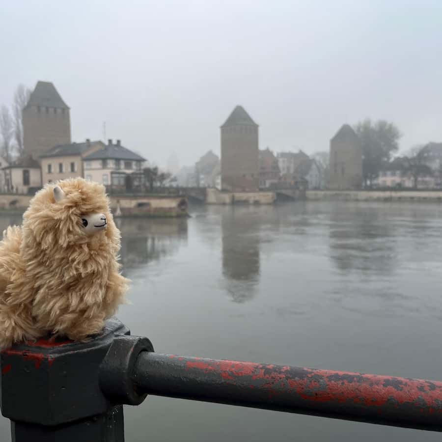 世界历史同好者- 世界历史同好者added a new photo., image size:900x900