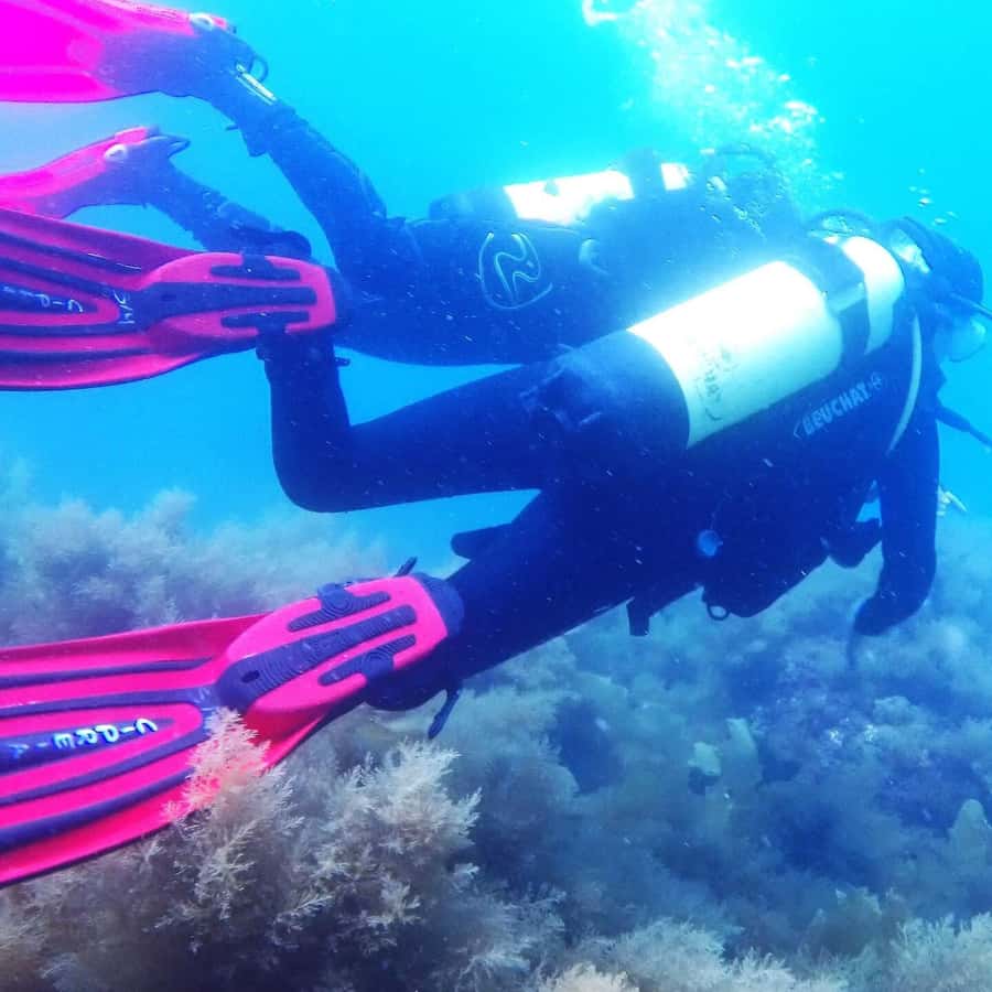 Mein erster Tauchgang im Ozean von Sao Miguel | GetYourGuide, image size:900x900