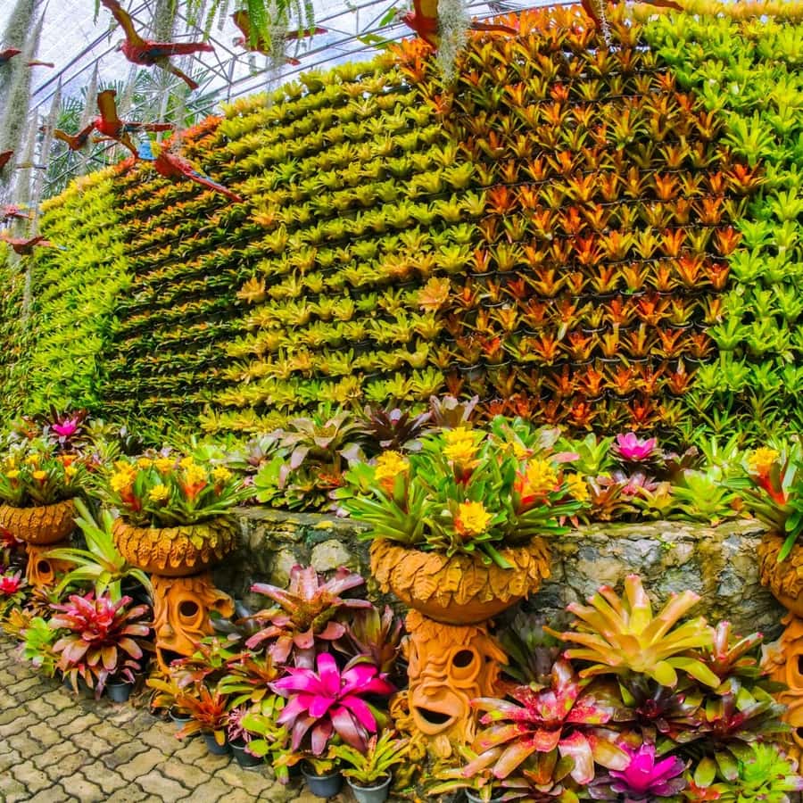 파타야 외국인을 위한 농눅 열대 정원 티켓 | GetYourGuide, image size:900x900