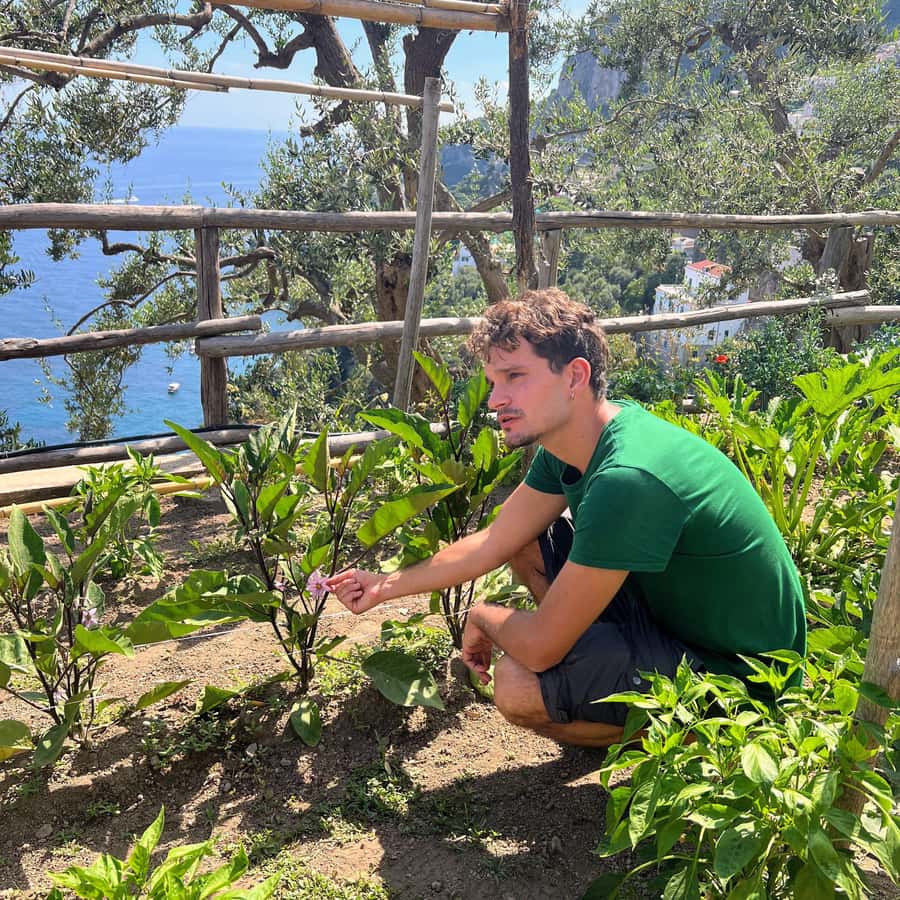 Amalfi: Cooking Class and Farmhouse Visit With Meal