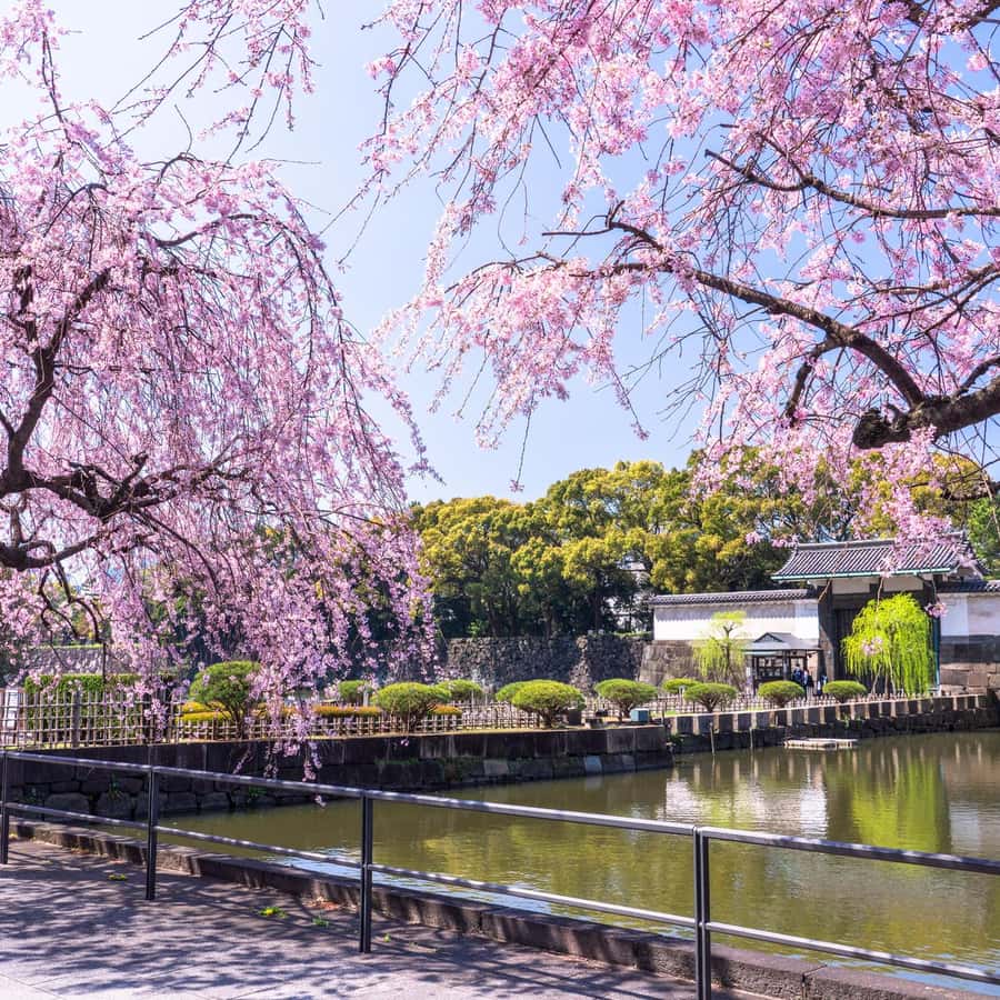 東京皇居東御苑 歴史ガイド付き | GetYourGuide