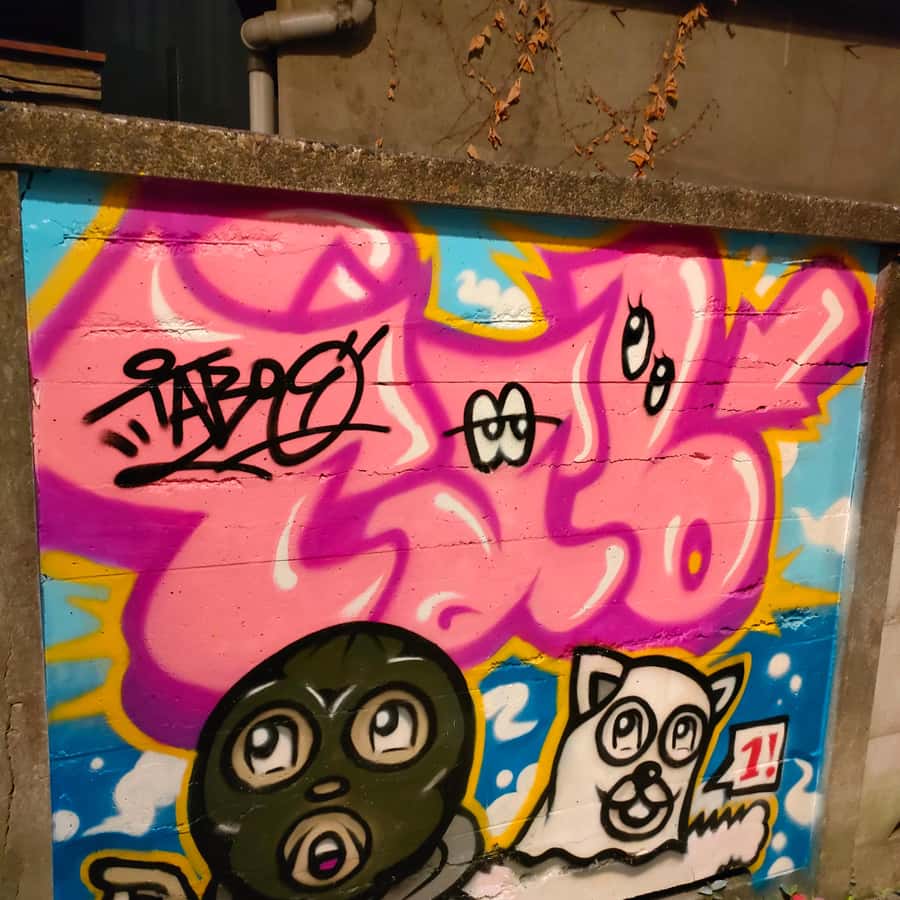Graffiti in Tokyo Walking Tour: Shibuya and Harajuku | GetYourGuide