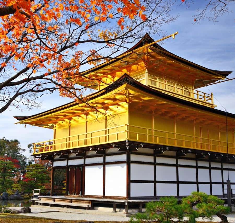 Golden Pavilion, Nijo Castle, & Nishiki Market Half day tour