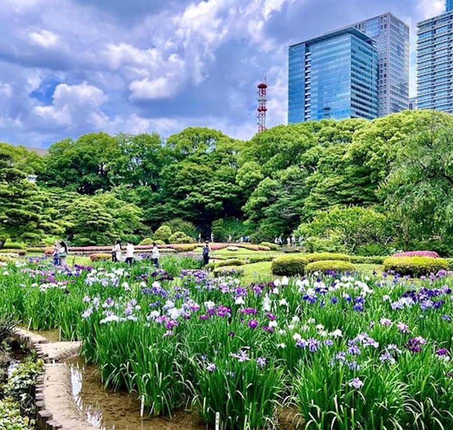 東京皇居東御苑 歴史ガイド付き | GetYourGuide