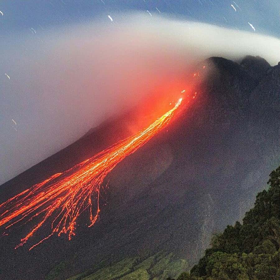 aa09869cac9661b17b3565c63e7f92